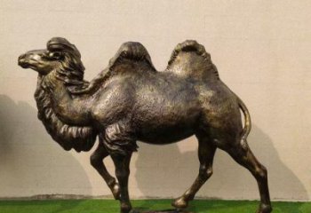 駱駝雕塑廠家，公園動物小品，玻璃鋼仿真駱駝雕塑廠