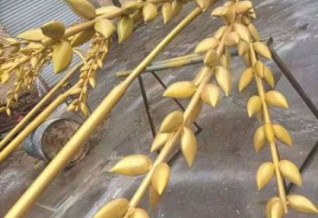 水景水稻雕塑廠家 風景區幾何雕塑 廣場小品