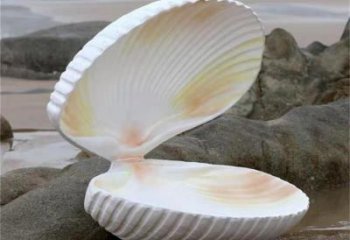 仿真貝殼雕塑 酒店公園雕塑 風景區擺件